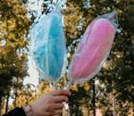 Two cotton candy sticks, one blue and one pink, held outdoors in a park setting.